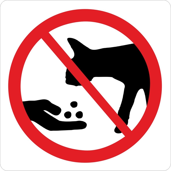 Fodring af katte forbudt